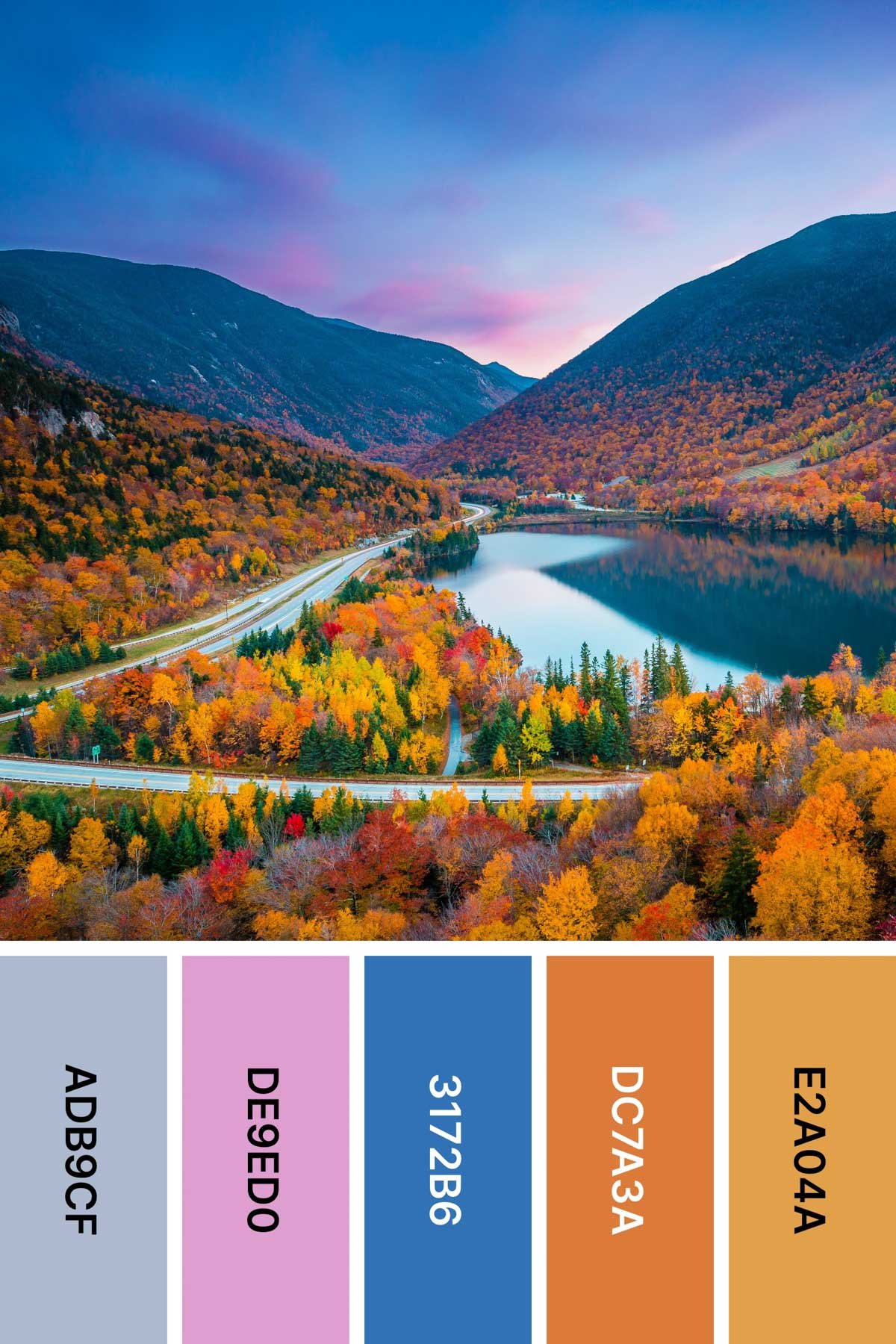 fall color palette with a photo of a full sunrise