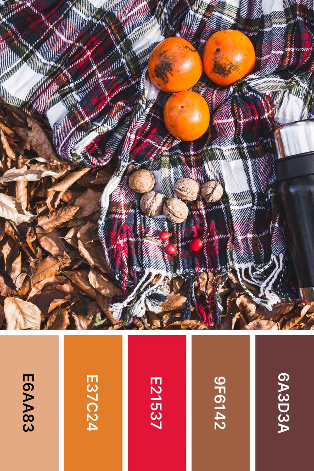 blanket with pumpkins and a fall color palette underneath