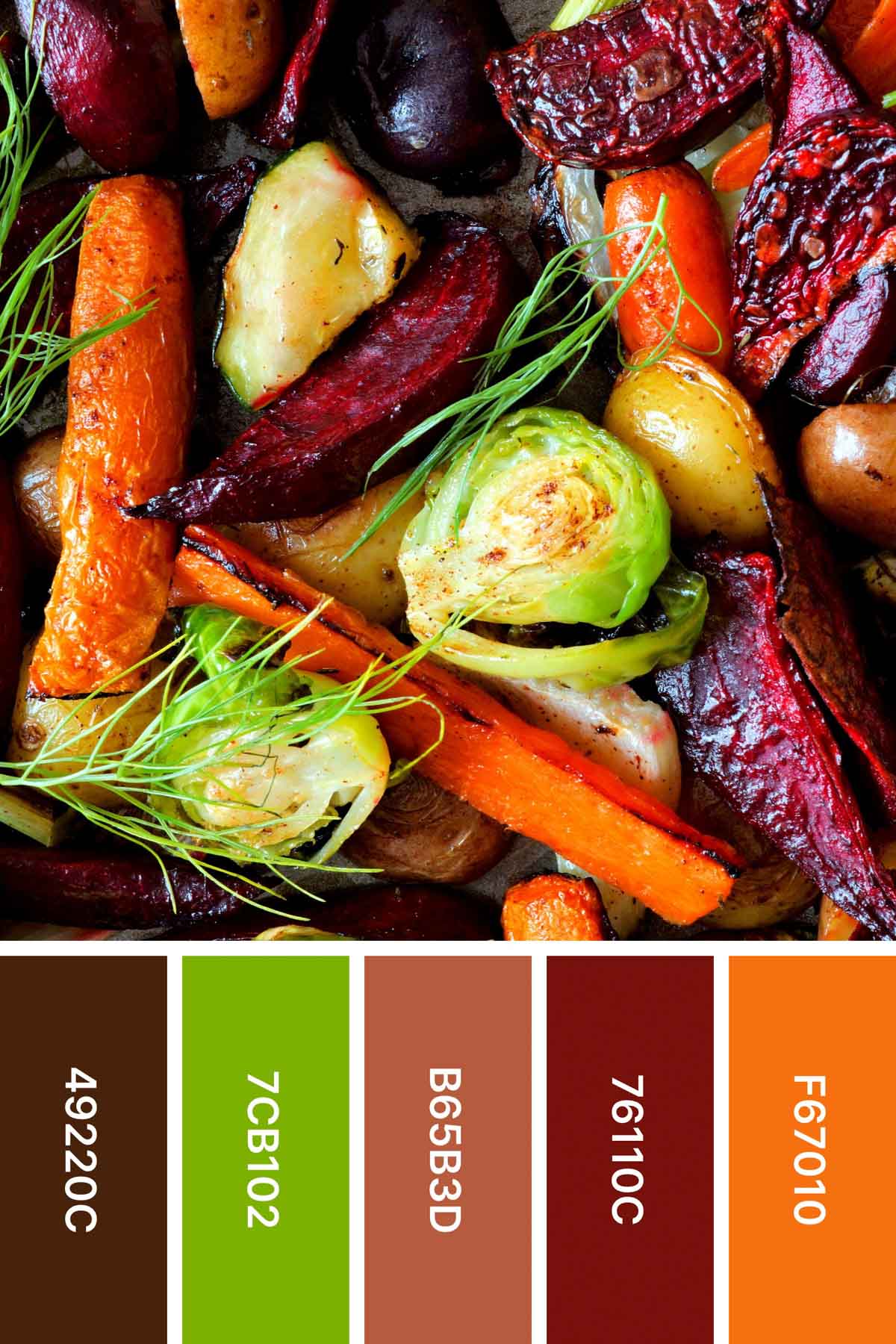 roasted root vegetables with an inspired fall color palette underneath