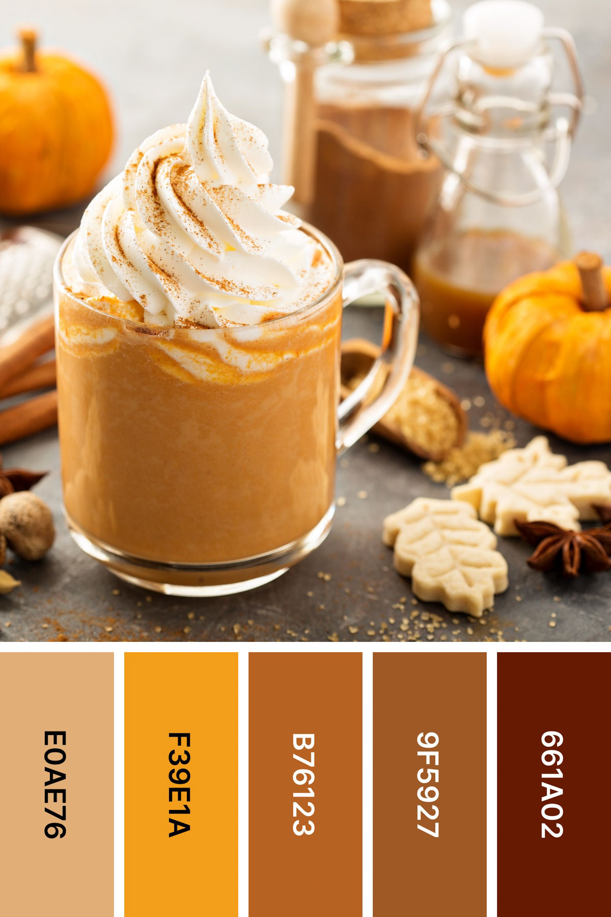 mug of pumpkin hot chocolate with a pumpkin inspired fall color palette