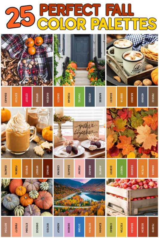 collage of images showing various fall color palette ideas