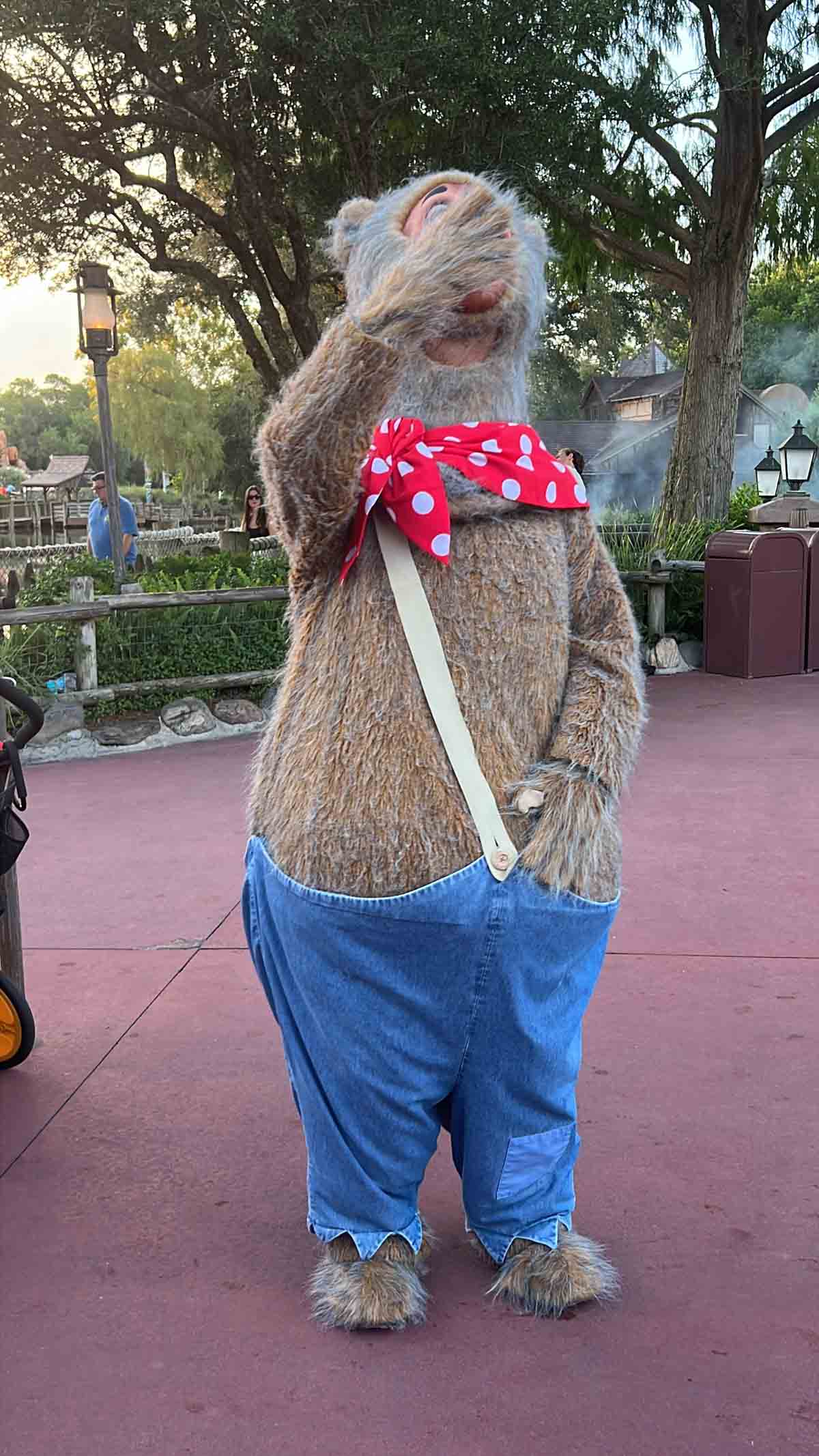 bear in costume