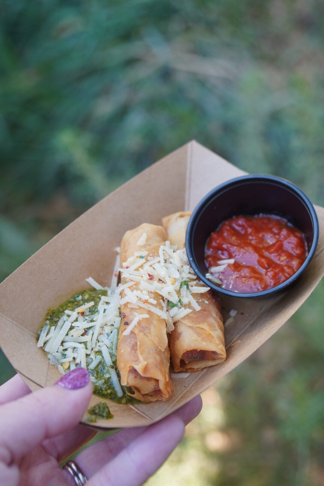 pepperoni spring rolls