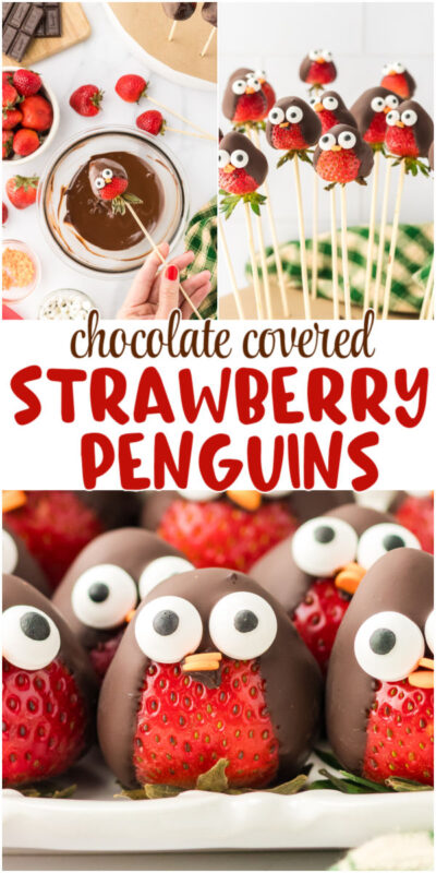 collage of images of chocolate covered strawberries that are decorated like penguins