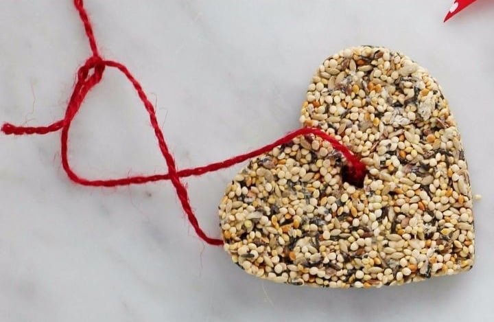 heart shaped bird seed feeder