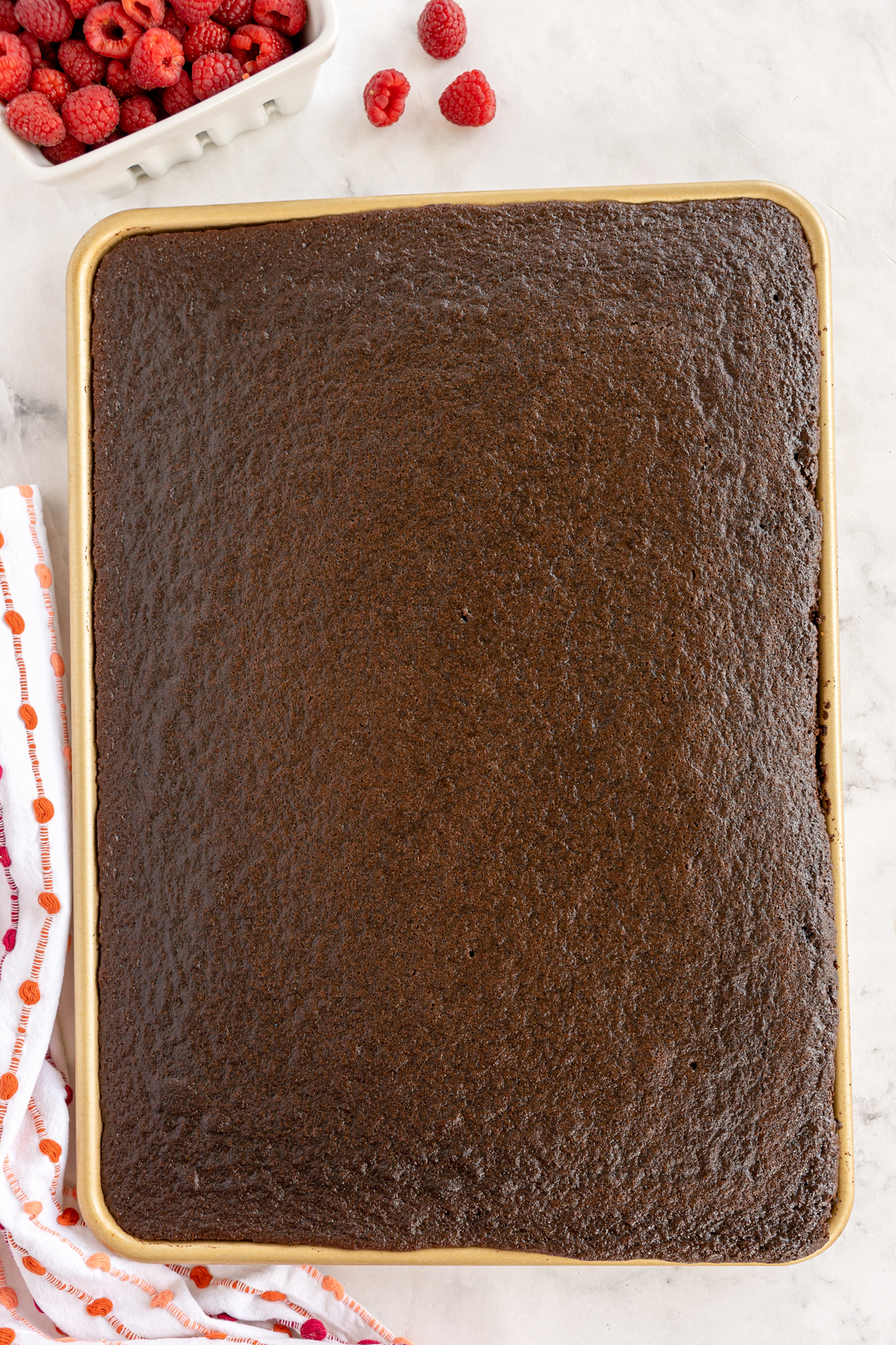 baked chocolate cake in a sheet pan