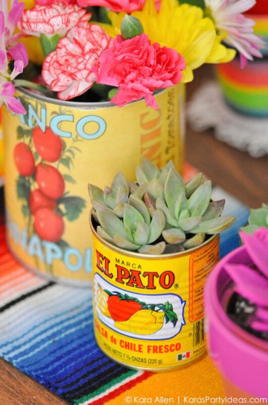 old vegetable cans with succulents inside