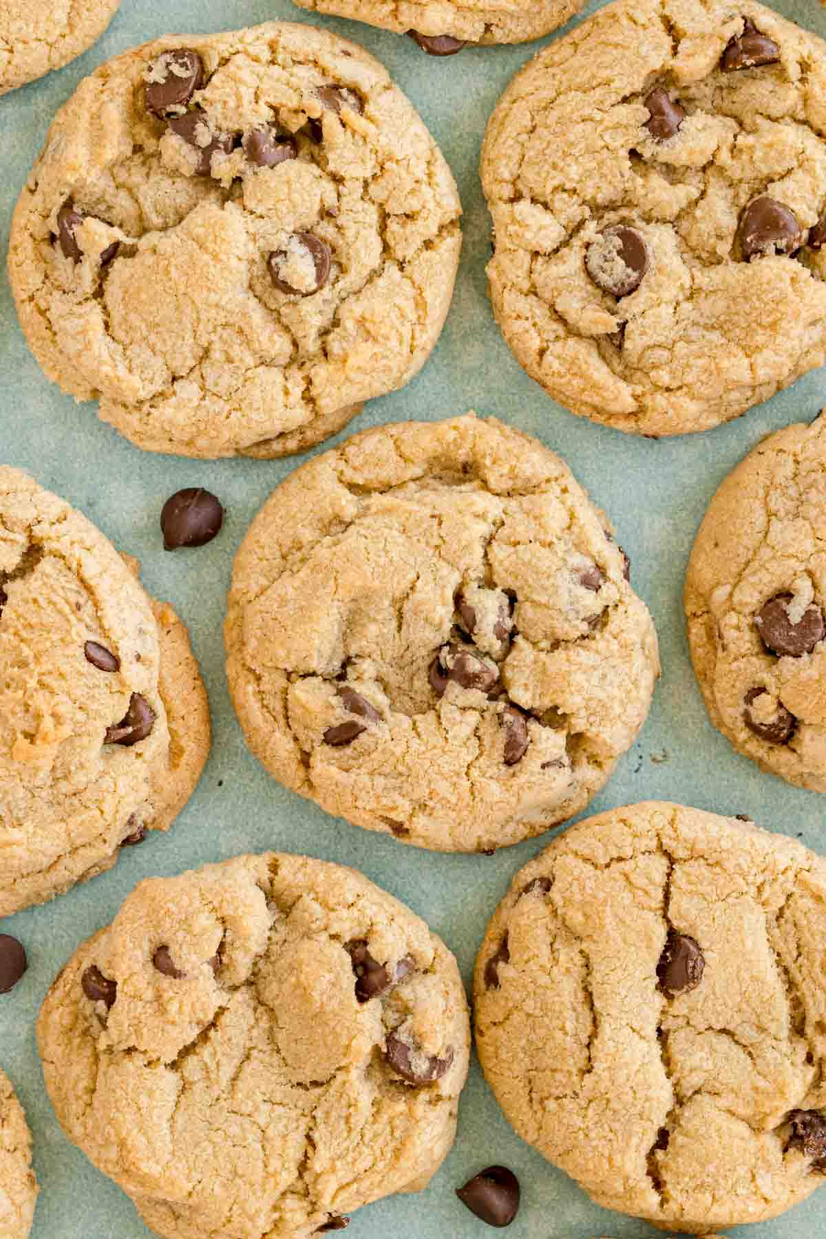large batch of chocolate chip cookies 
