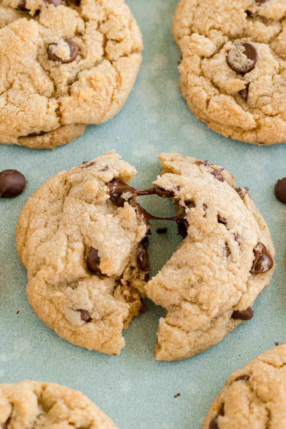 chocolate chip cookie broke in half