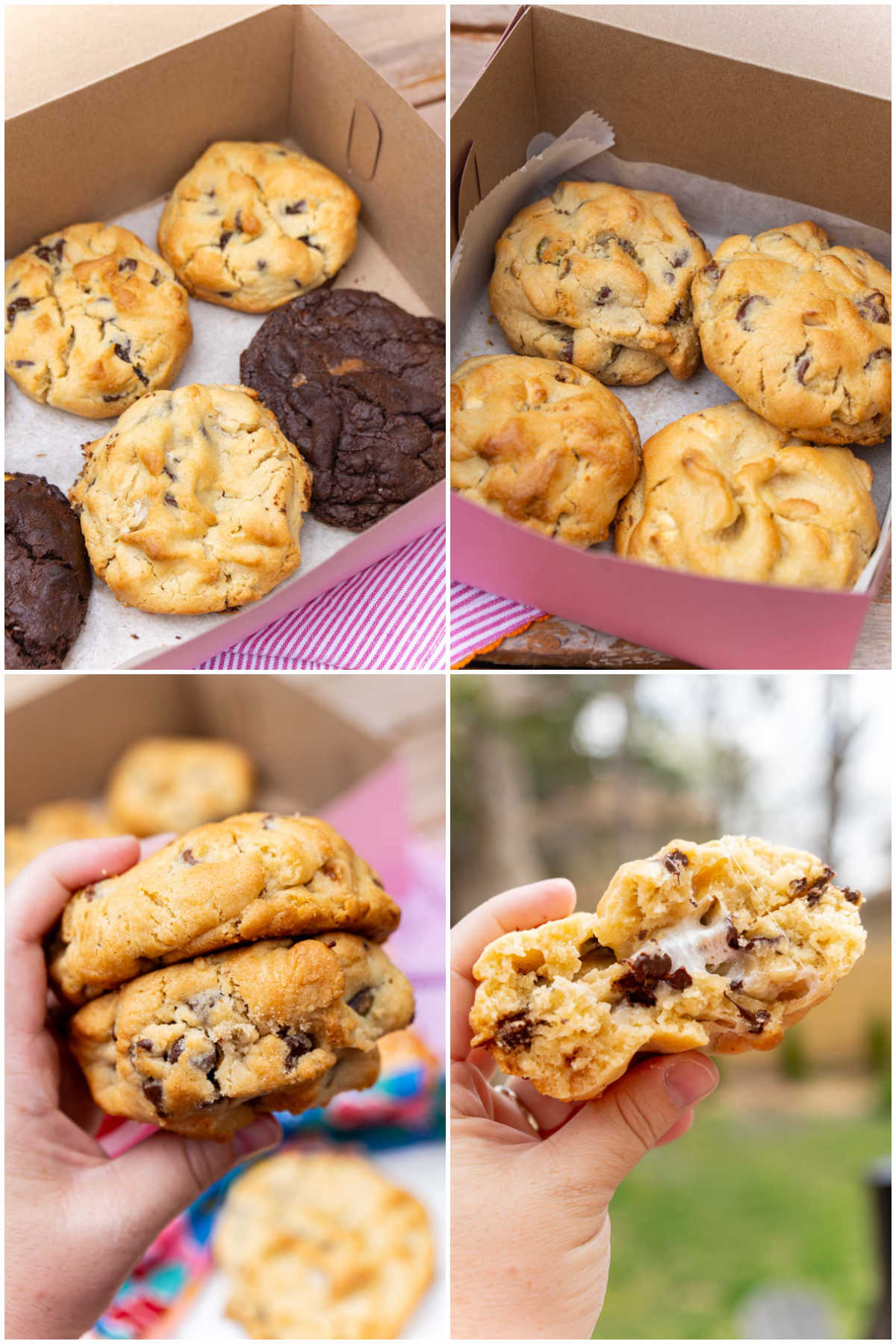 four images showing box of cookies and woman's hand holding cookies