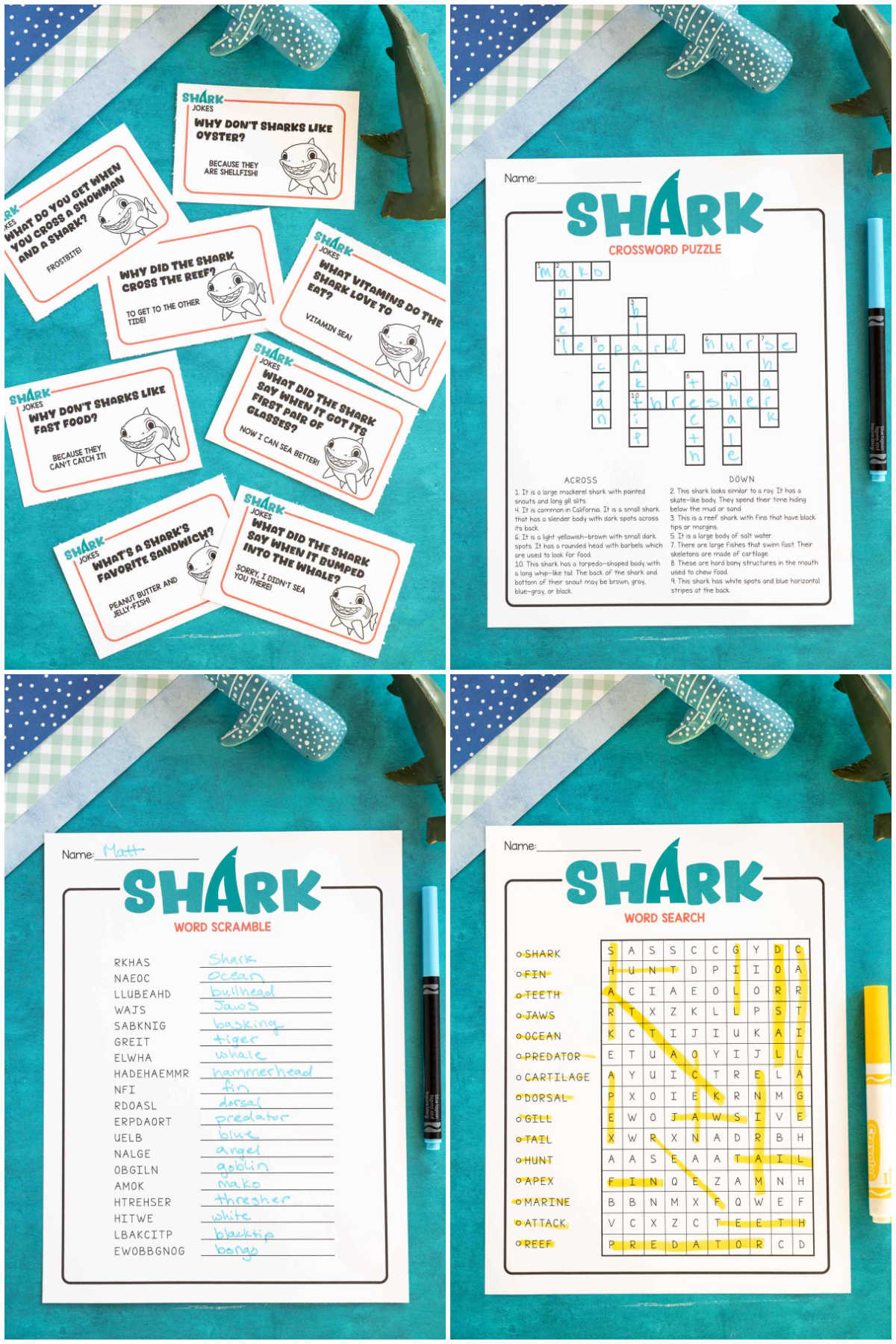 four images showing printed out shark activities with answers written in