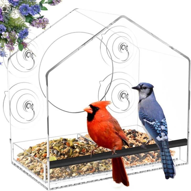 clear bird feeder with suction cups for windows