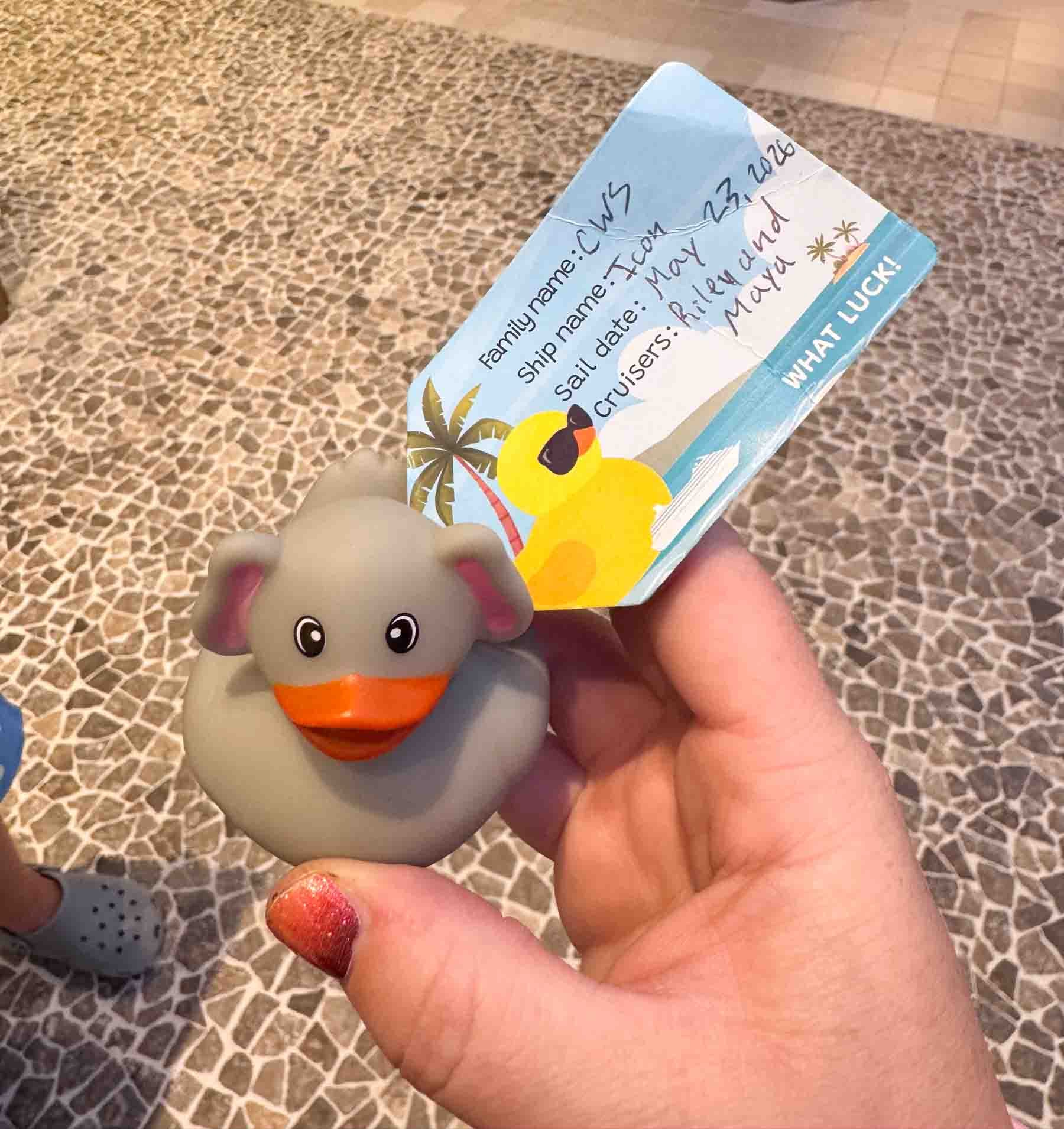 hand holding a cruise duck