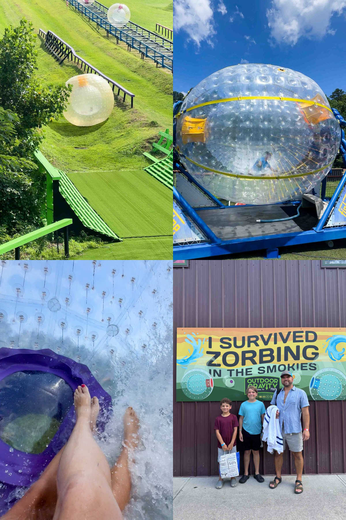 collage showing people zorbing